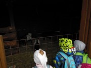 Výlet do svíčkárny Šestajovice